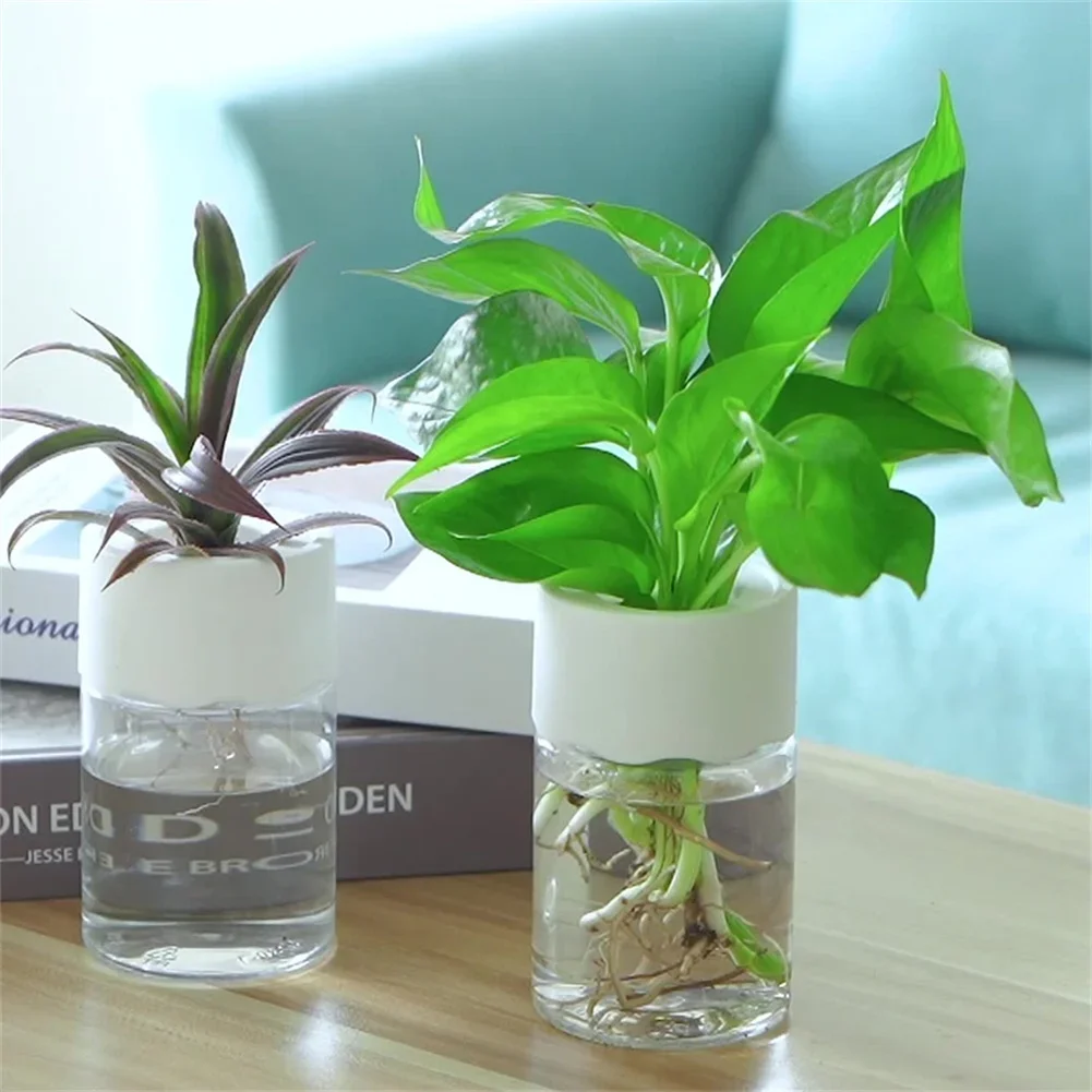 Mini Hydroponic Flower Pot Tra - Aloe Vera Pot 评论和价格