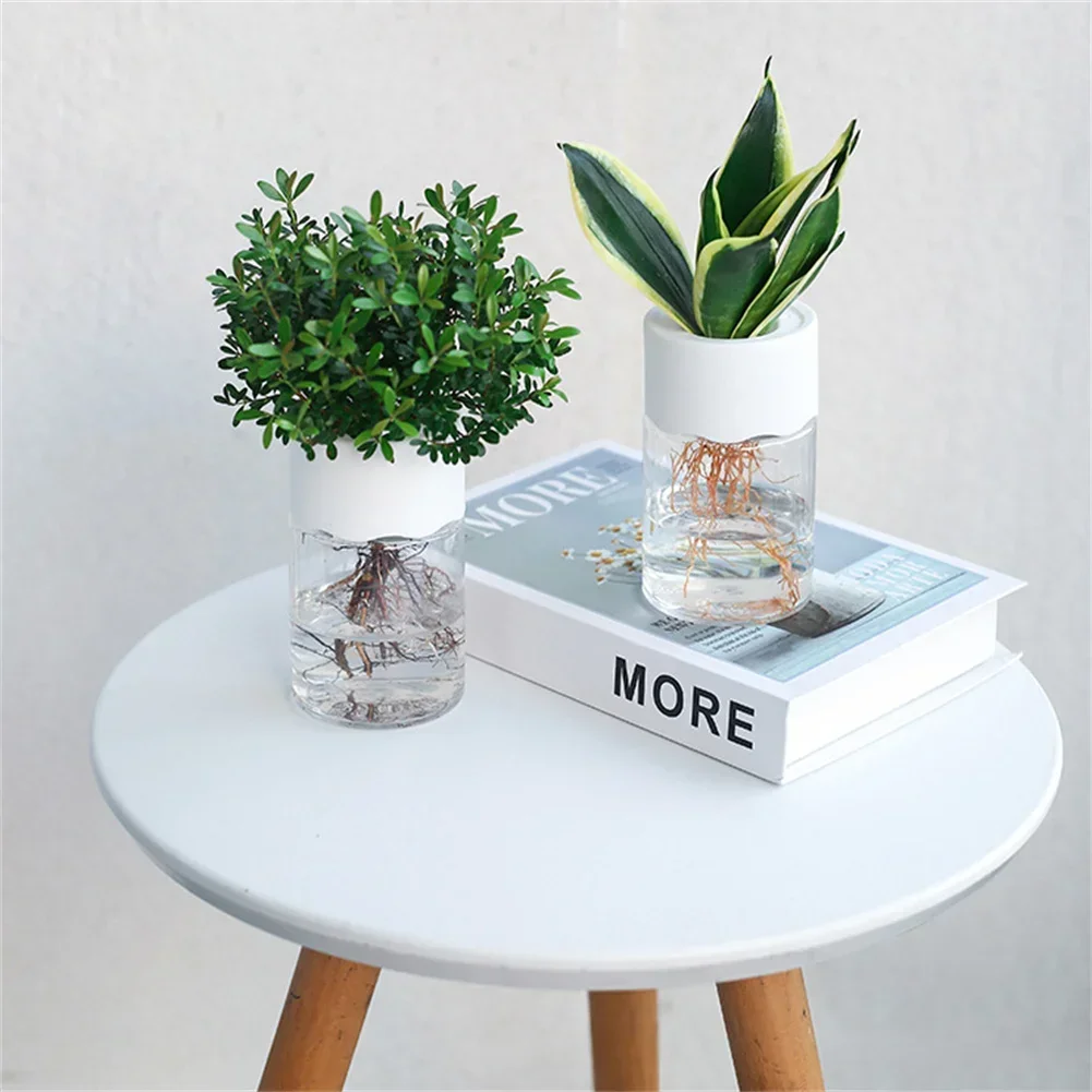 Mini Hydroponic Flower Pot Tra - Aloe Vera Pot 评论和价格