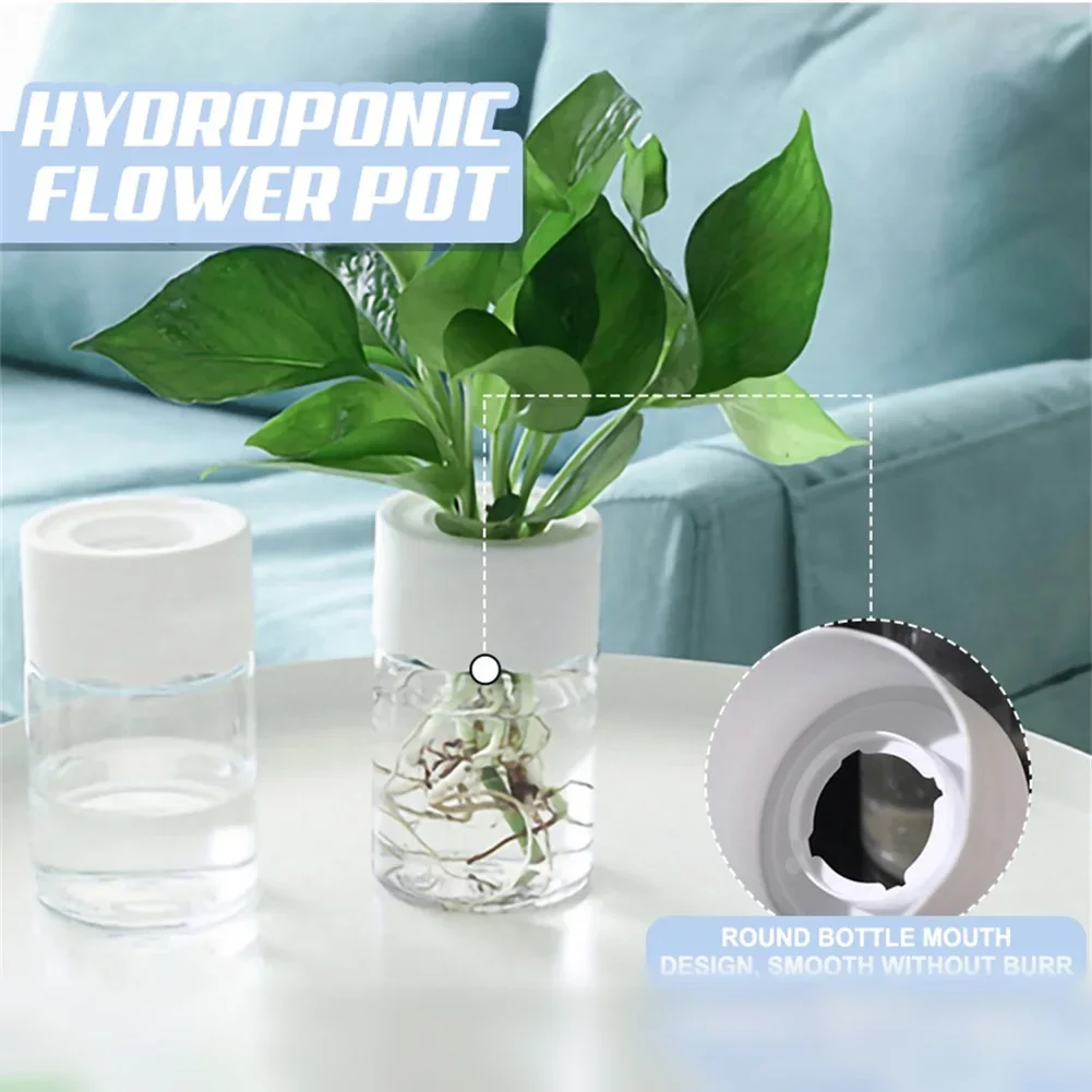 Mini Hydroponic Flower Pot Tra - Aloe Vera Pot 评论和价格