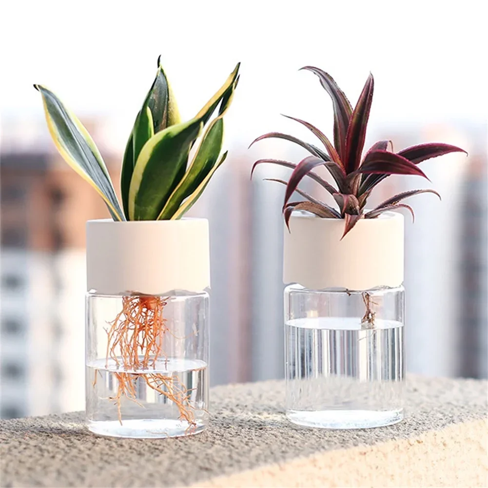 Mini Hydroponic Flower Pot Tra - Aloe Vera Pot 评论和价格