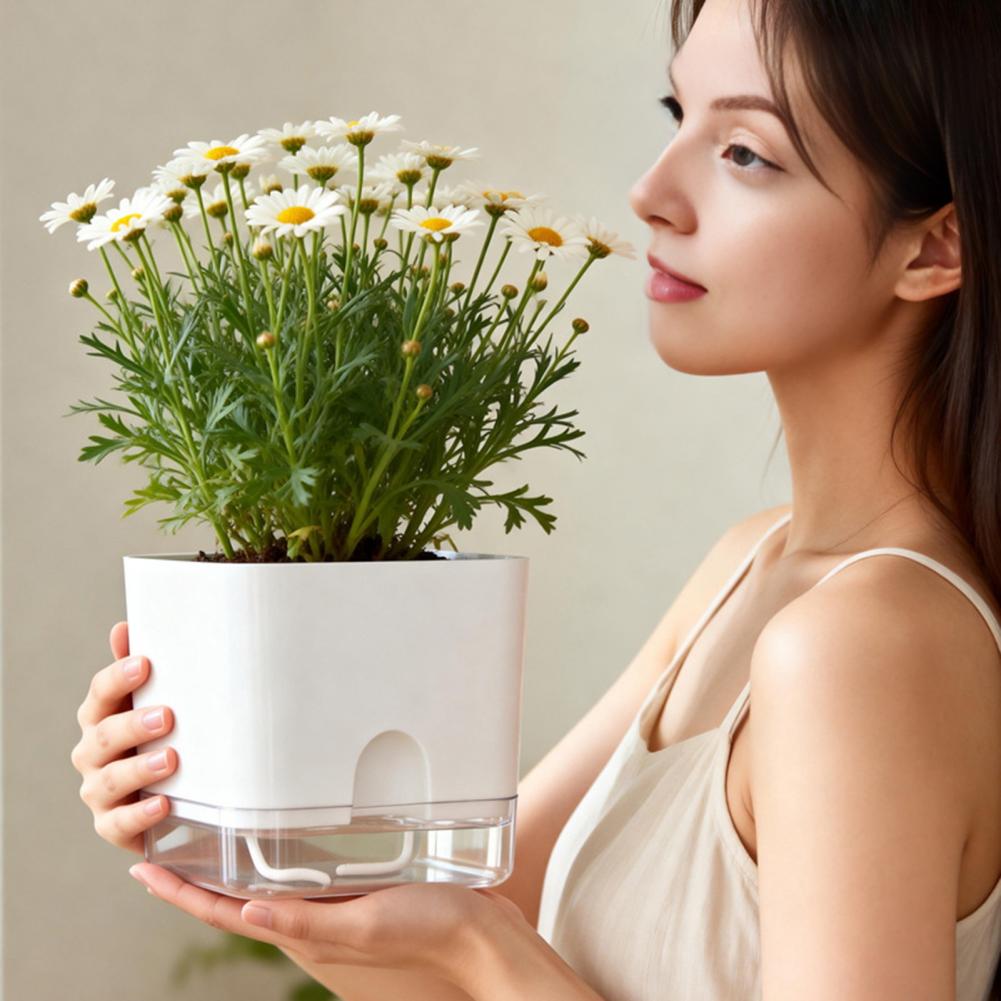 Automatic Watering Flower Pots - Aloe Vera Pot 评论和价格
