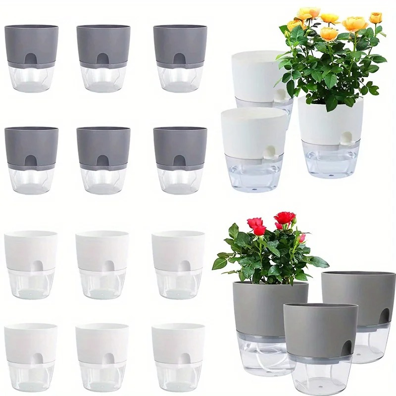 10/5Pcs Self Watering Plastic  - Aloe Vera Pot 评论和价格