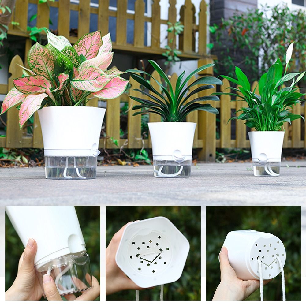 Transparent Double Layer Plast - Aloe Vera Pot 评论和价格