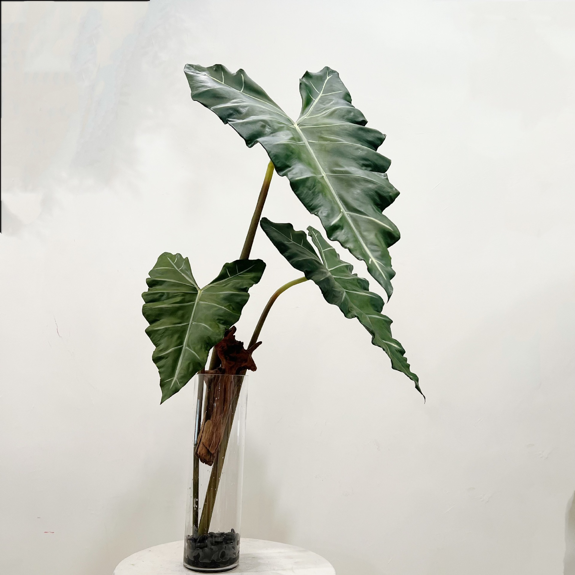 Simulated Long PU Hand-feel Gr - Monstera Adansonii 评论和价格
