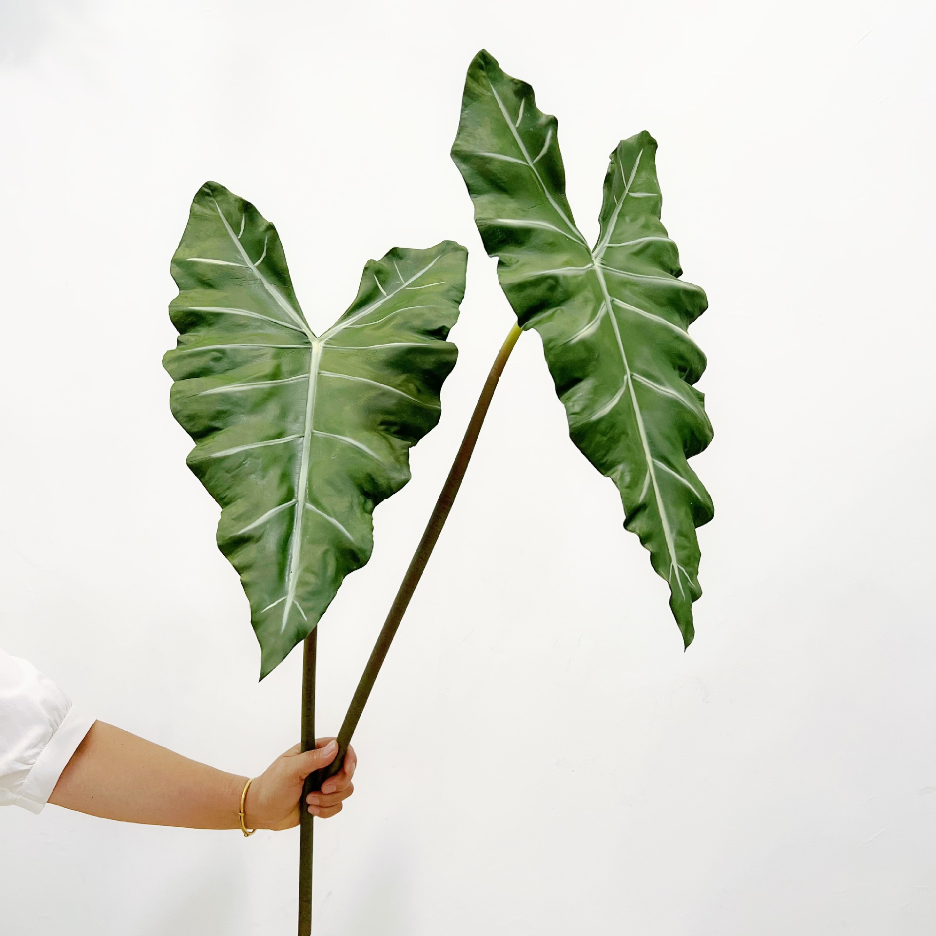 Simulated Long PU Hand-feel Gr - Monstera Adansonii 评论和价格