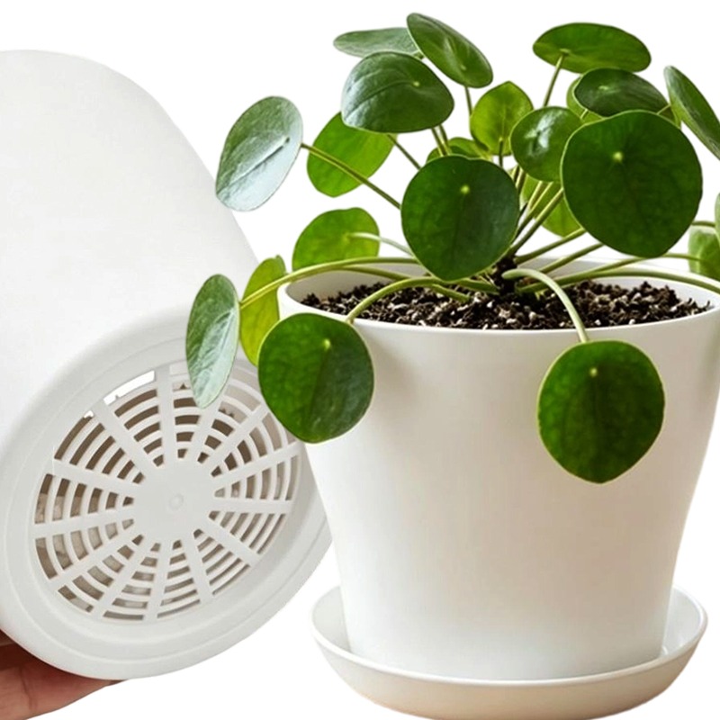 Plant Pot Set with Drainage Ho - Aloe Vera Pot 评论和价格